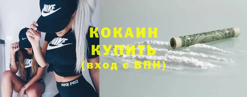 Cocaine FishScale  закладки  Заволжье 